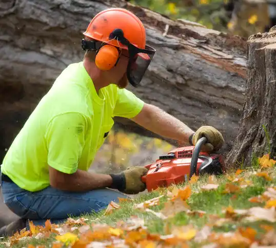 tree services Two Harbors